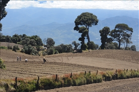 Volcá Irazú (3432m)